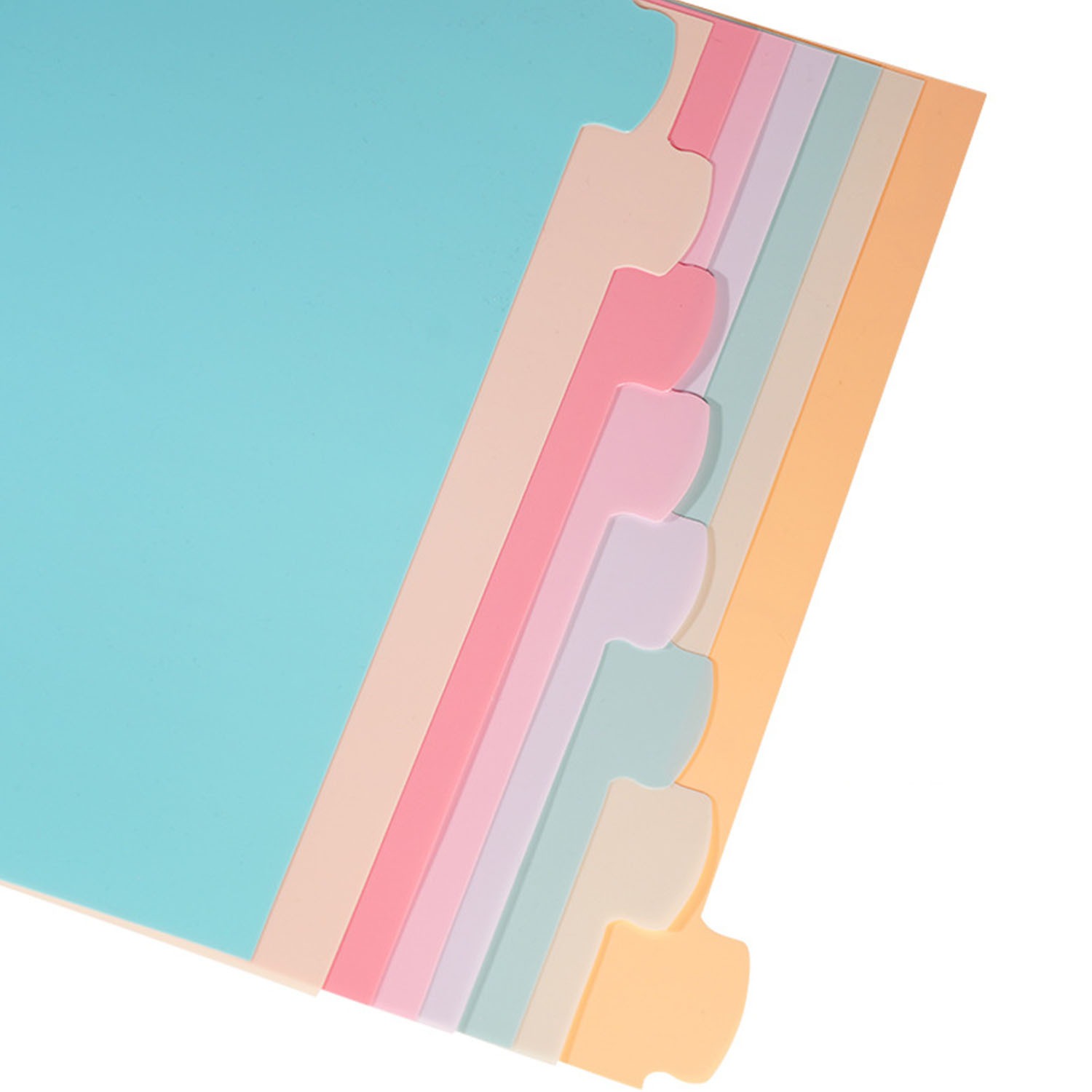 8 Tab Binder Dividers for 3 Ri - Paper Punch 3 Hole 리뷰 및 가격